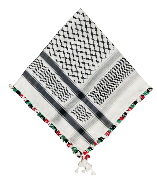 Black & White Pattern with Multicolor Fringe - Image 2