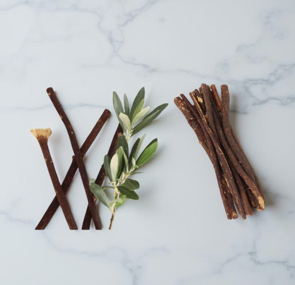 Premium Olive Wood Miswak (Siwak) Sticks