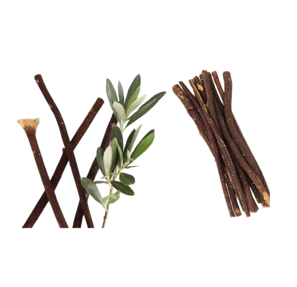 Premium Olive Wood Miswak (Siwak) Sticks - Image 2