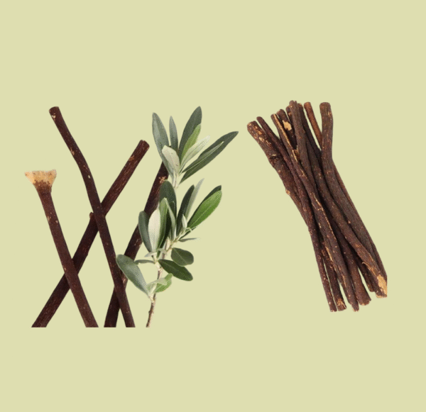 Premium Olive Wood Miswak (Siwak) Sticks - Image 3