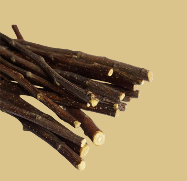 Classic Natural Miswak (Peelu/Salvadora Persica) Sticks - Image 3