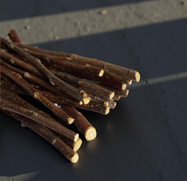 Classic Natural Miswak (Peelu/Salvadora Persica) Sticks