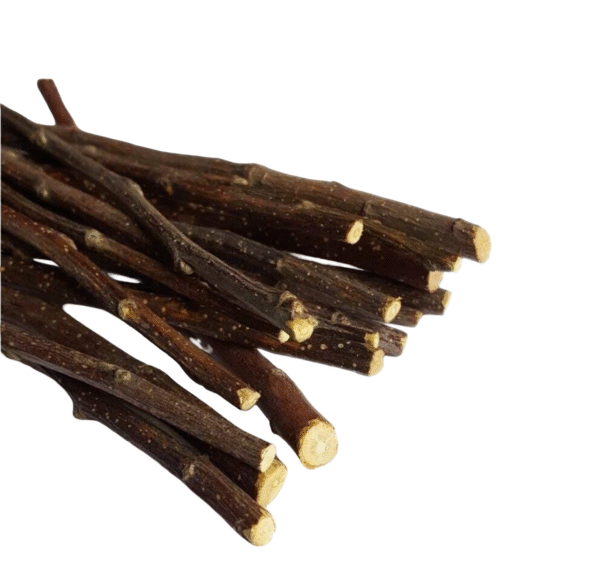 Classic Natural Miswak (Peelu/Salvadora Persica) Sticks - Image 2