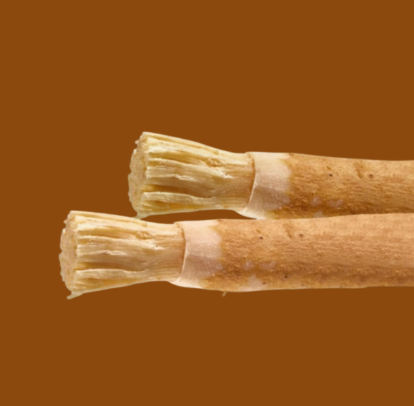 Ready-to-Use Miswak (Pre-Brushed Tip) – Olive Wood - Image 2
